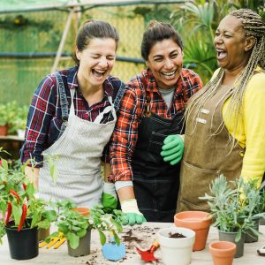 Donating to Liverpool Sunflowers Charity